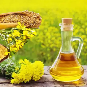 Mustard Oil