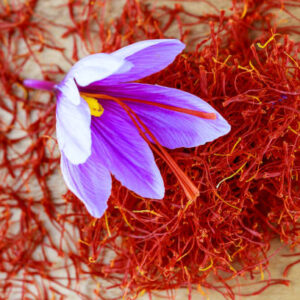 Saffron stigmas scattered on a wooden surface. Saffron crocus flowers. Flowering saffron sativus.